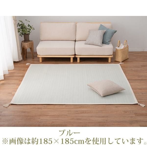 今ならポイント10倍♪～5/25 AM10:00まで】【直送】ふんわりカラーの
