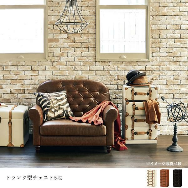 今ならポイント10倍 ♪～3/16 AM10:00まで】【直送】トランク型収納